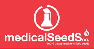 Medical Seeds Medical Seeds