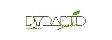 Pyramid Seeds Pyramid Seeds