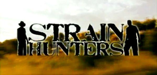 Strain Hunters Strain Hunters