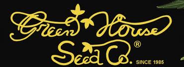 GreenHouse seeds GreenHouse seeds