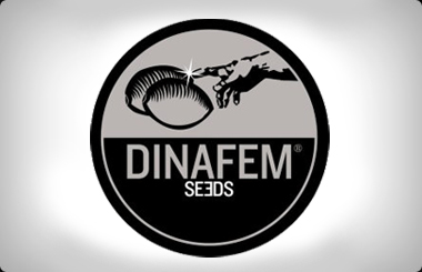 Dinafem Dinafem